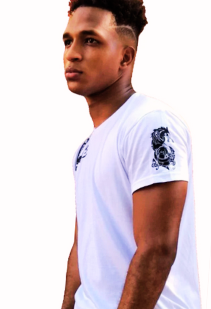 T-Shirt-Wikinger-Kollektion M.A